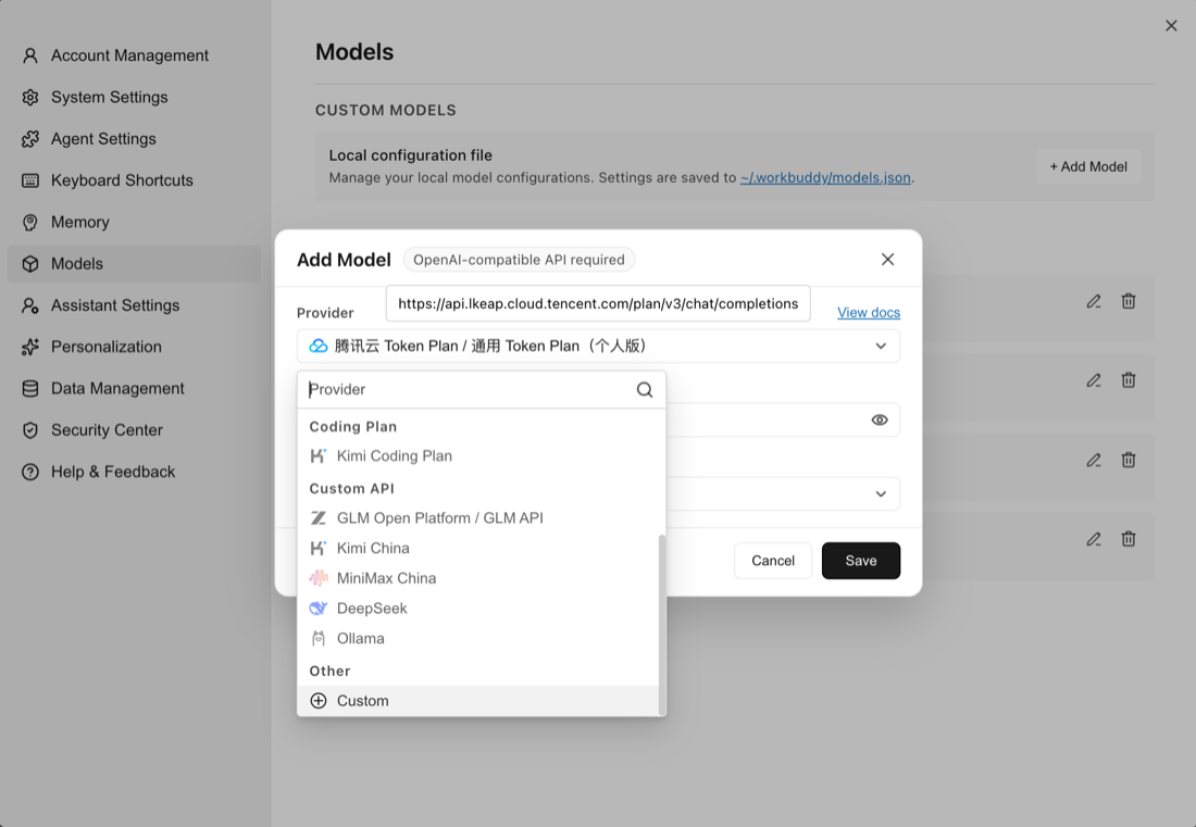 Add model: select Custom as the provider
