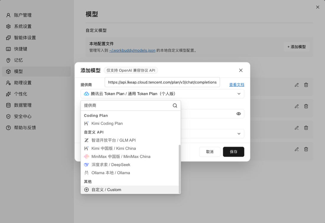 添加模型：提供商选择自定义 / Custom